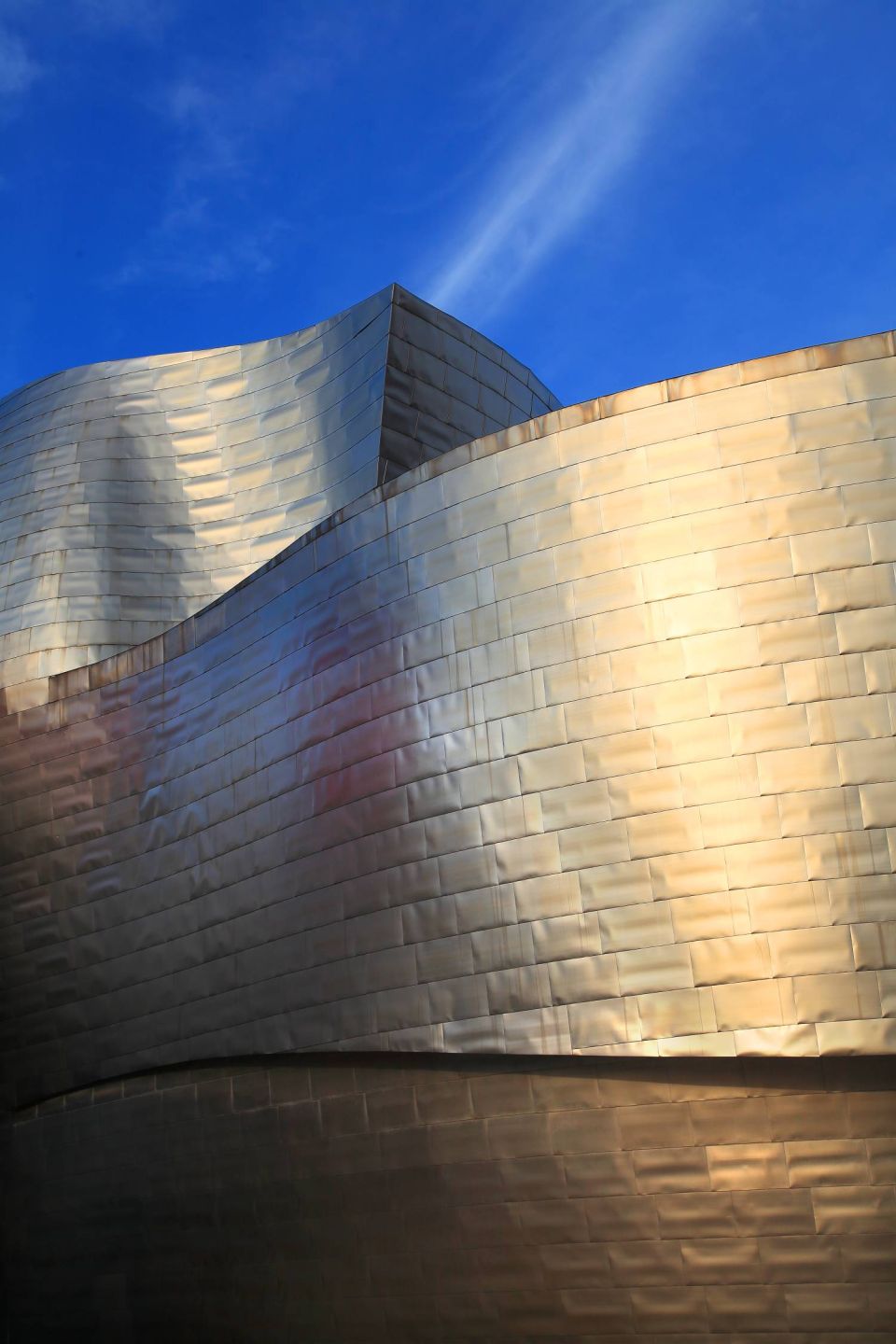 Musée Guggenheim Bilbao