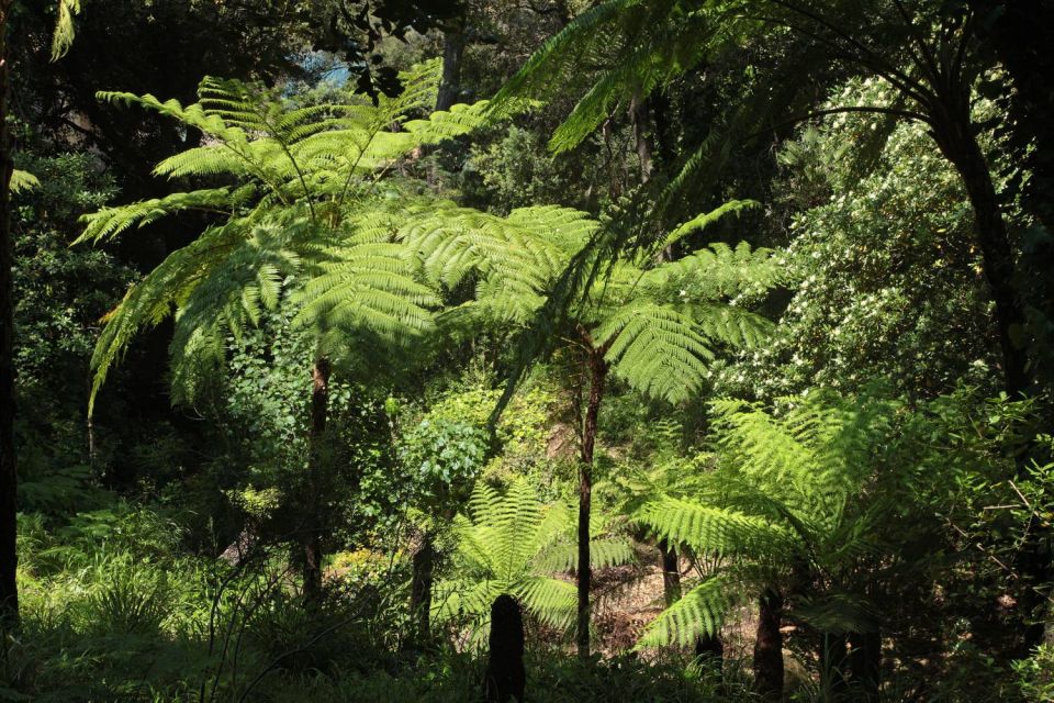 Jardin du Rayol Canadel - Côte d'Azur