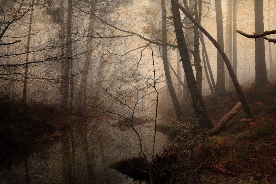 Forêt de l'Ospedale